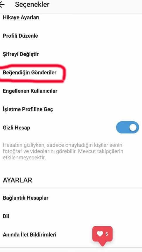 instagramda begeni gecmisine nasil bakilir