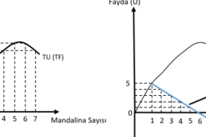 Marjinal Fayda Nasıl Hesaplanır?