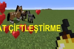 Minecraft’te Atlar Nasıl Çiftleştirilir?