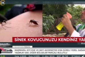 Sivrisineklerden Nasıl Kurtulunur?